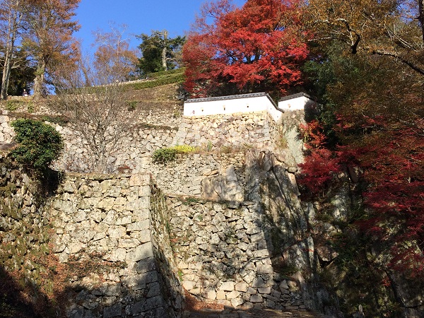 備中松山城紅葉2019年11月17日