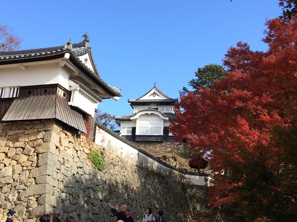 備中松山城紅葉2019年11月17日