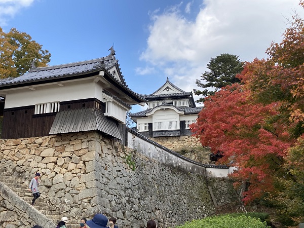 備中松山城 紅葉2020年11月8日