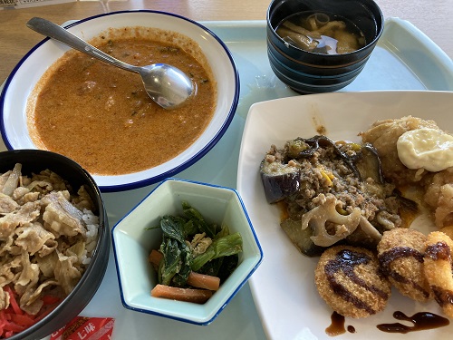 レイクフォレストリゾート バードスプリングコース ランチ