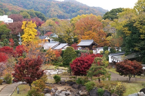 池田城跡公園の紅葉