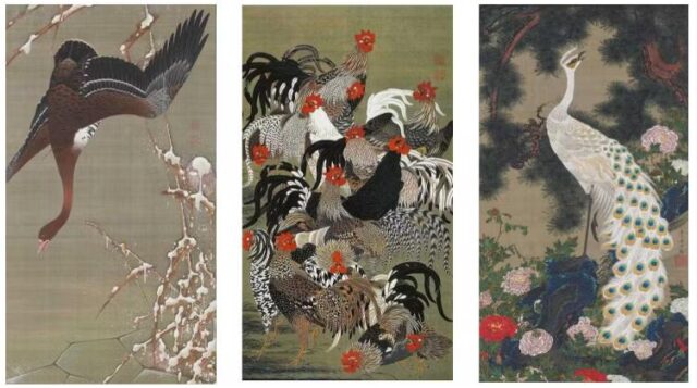 伊藤若冲「動植綵絵」2