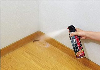 ムカデ退治スプレー