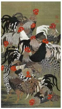 伊藤若冲「動植綵絵」ニワトリ