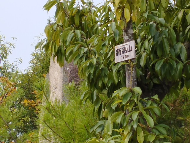 新高山城看板