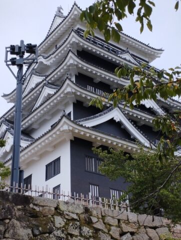 福山城白と黒