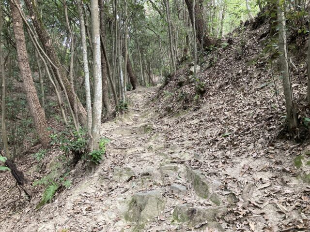 新高山城登山