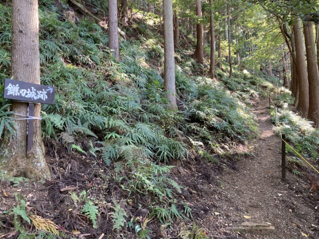 鎌刃城【滋賀県】登山ルート