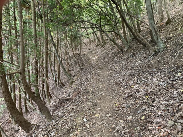 鎌刃城【滋賀県】登山ルート