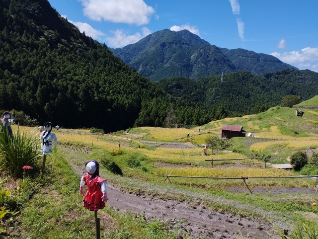 案山子