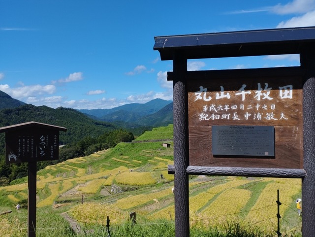 丸山千枚田