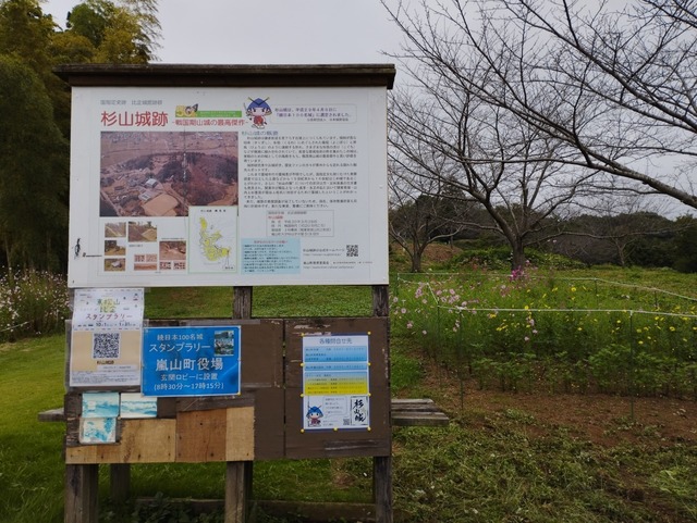 駐車場から