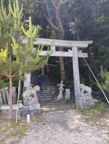 とりい