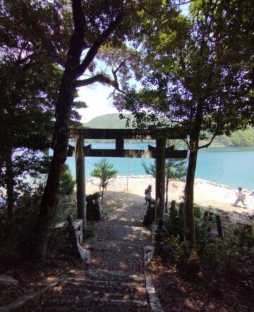上から