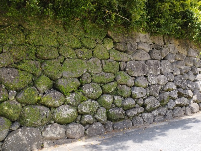 苔むした石垣