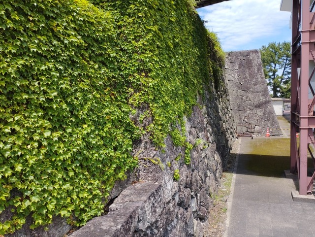 天守台ちら