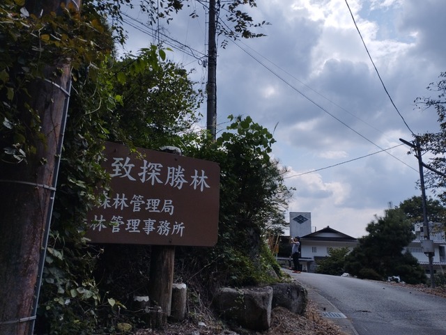 橋