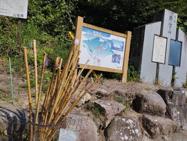 杖