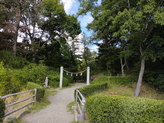 横から