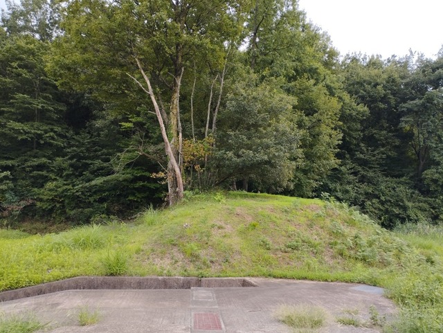 西