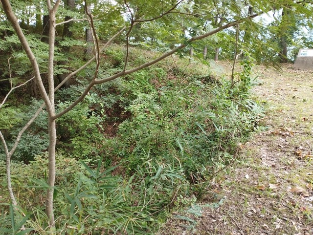 搦手門