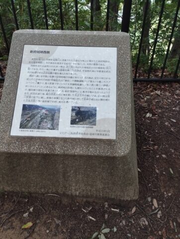 西側