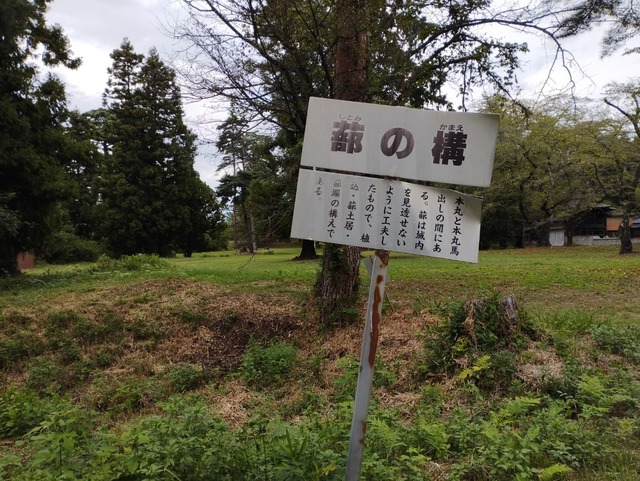 蔀の構