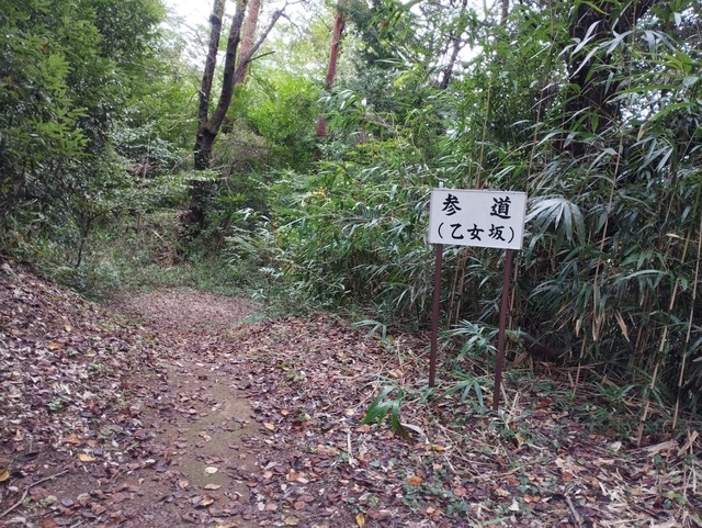参道