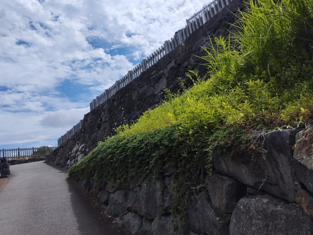 天守台への坂道